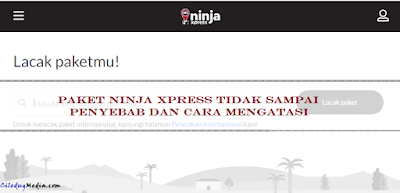 Paket Ninja Xpress tidak sampai: penyebab dan cara mengatasi